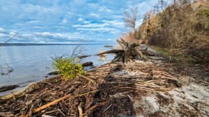 ammersee-ultra-1223-topo-mt5-1