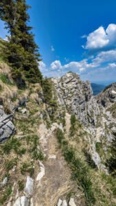 trailrunning_ammergauer-alpenx-2