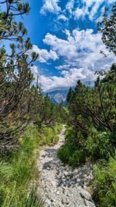 mittenwald-trail-training-4