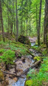 mittenwald-trail-training-6